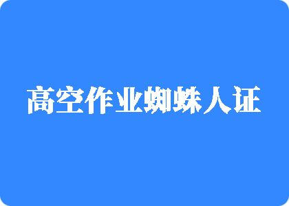 射逼av高空作业蜘蛛人证